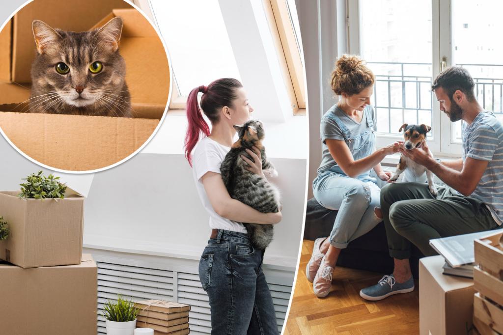 The cost of pet rent is rising — and contributing to a crisis